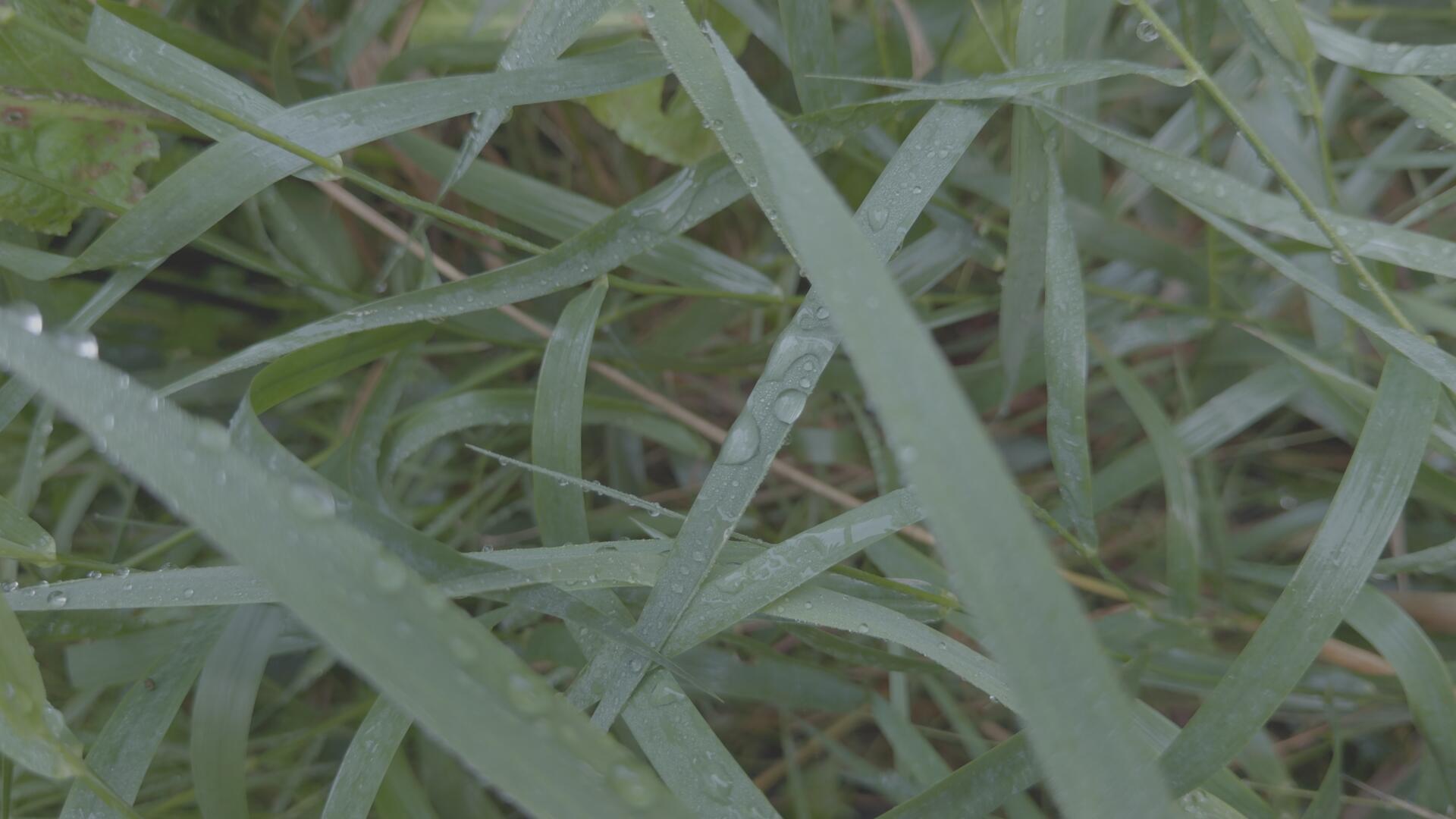 达芬奇深邃旅拍风景摄影电影感风格化调色节点 CINEMATIC POWER GRADE IN DAVINCI RESOLVE . sucaiwan.com