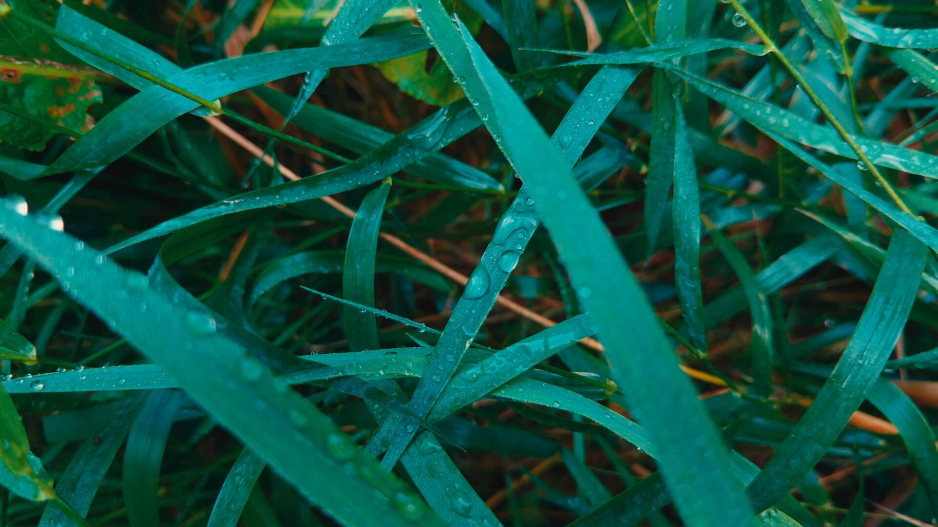 达芬奇深邃旅拍风景摄影电影感风格化调色节点 CINEMATIC POWER GRADE IN DAVINCI RESOLVE . sucaiwan.com