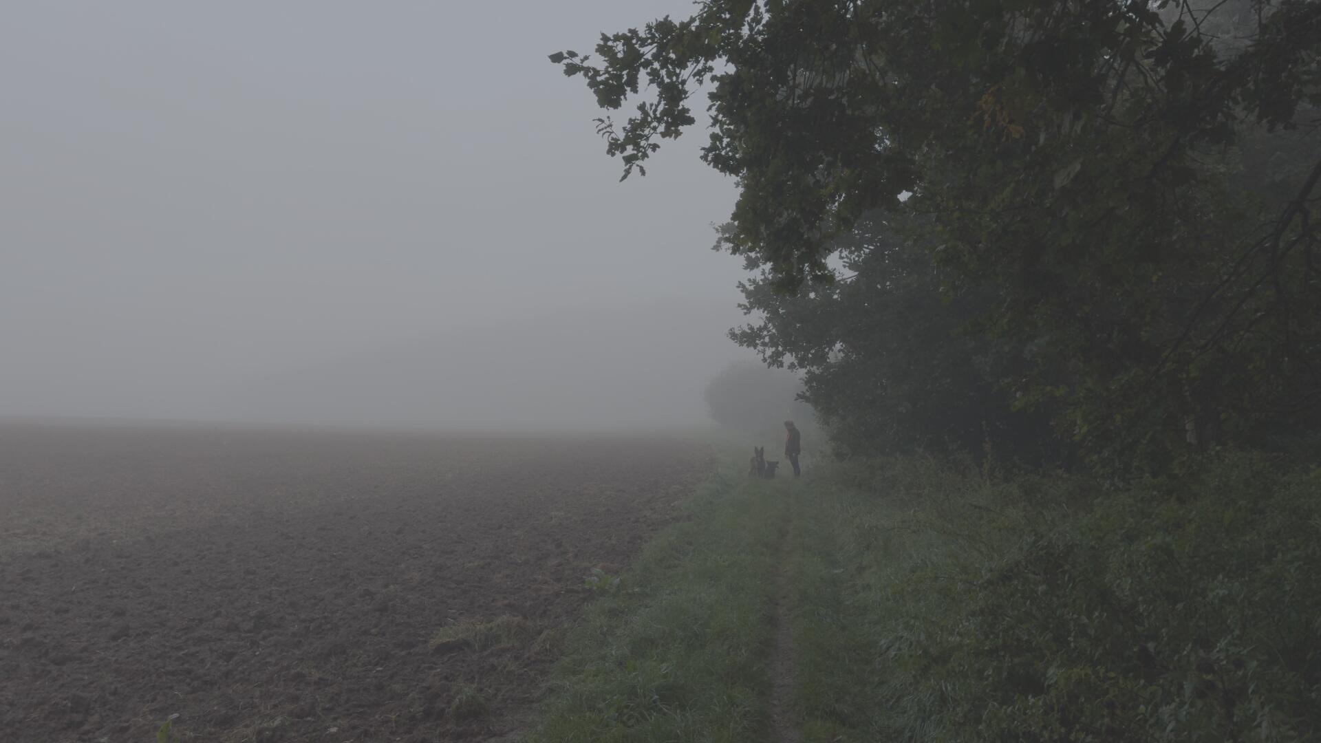 达芬奇深邃旅拍风景摄影电影感风格化调色节点 CINEMATIC POWER GRADE IN DAVINCI RESOLVE . sucaiwan.com