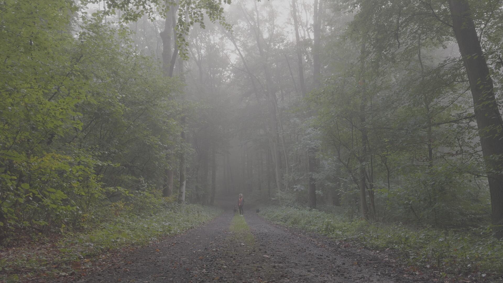 达芬奇深邃旅拍风景摄影电影感风格化调色节点 CINEMATIC POWER GRADE IN DAVINCI RESOLVE . sucaiwan.com