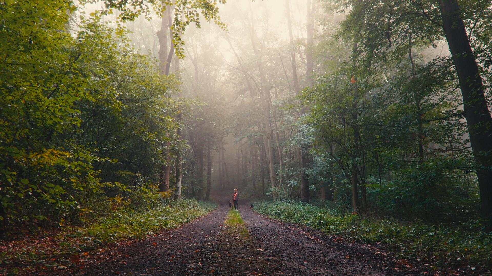 达芬奇深邃旅拍风景摄影电影感风格化调色节点 CINEMATIC POWER GRADE IN DAVINCI RESOLVE . sucaiwan.com