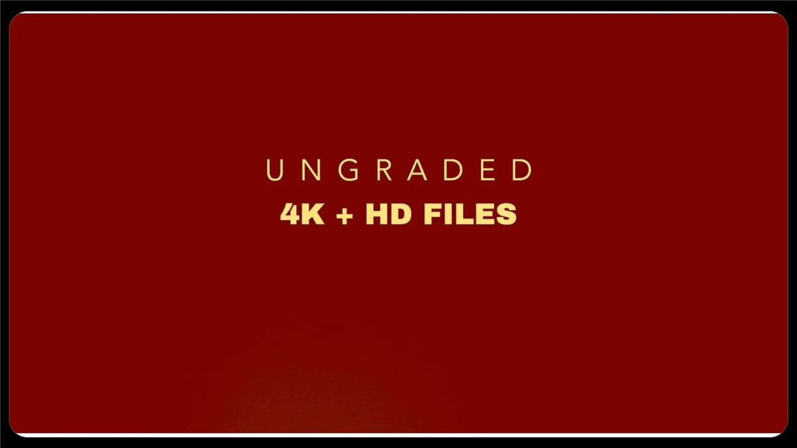 Moonbear 100多个复古胶卷漏光光斑灯光自然光光晕4K视频叠加层素材 Eminence 图片素材 sucaiwan.com