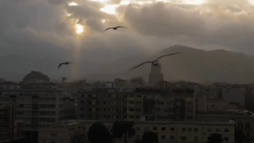 音效素材:Vamify 300个旅拍VLOG自然城市海洋环境转场音效包 MAVIC Sound FX 影视音频 第4张-素材湾丨精选海外优质设计素材资源 音效素材:Vamify 300个旅拍VLOG自然城市海洋环境转场音效包 MAVIC Sound FX 影视音频 sucaiwan.com