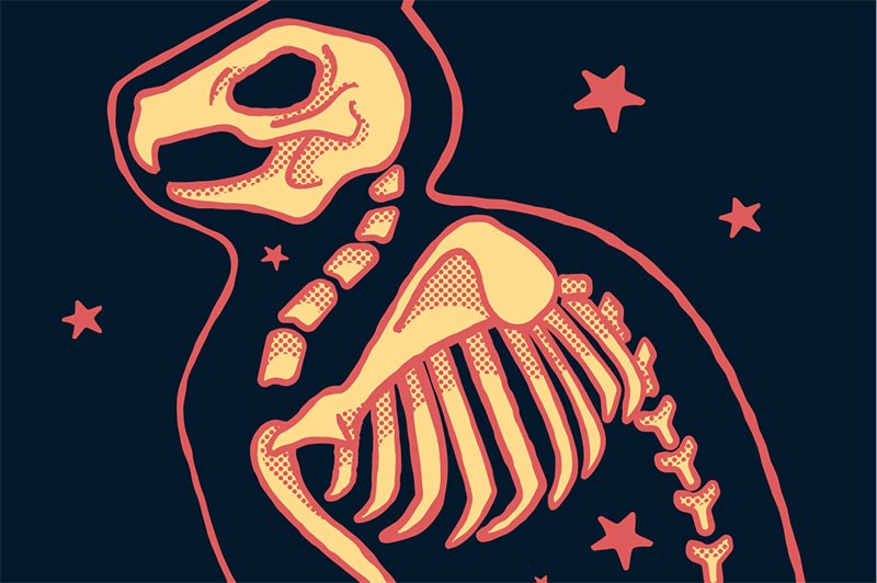 80+Illustrator半色调图案笔刷 笔刷资源 sucaiwan.com