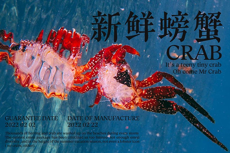 8款高颜值中文字体推荐 设计素材 sucaiwan.com