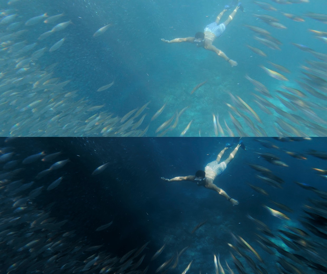 高级氛围感热带森林电影级旅拍调色VLOG风格大片预设包 Jakob Mihailo LUT 插件预设 第7张-素材湾丨精选海外优质设计素材资源 高级氛围感热带森林电影级旅拍调色VLOG风格大片预设包 Jakob Mihailo LUT 插件预设 sucaiwan.com