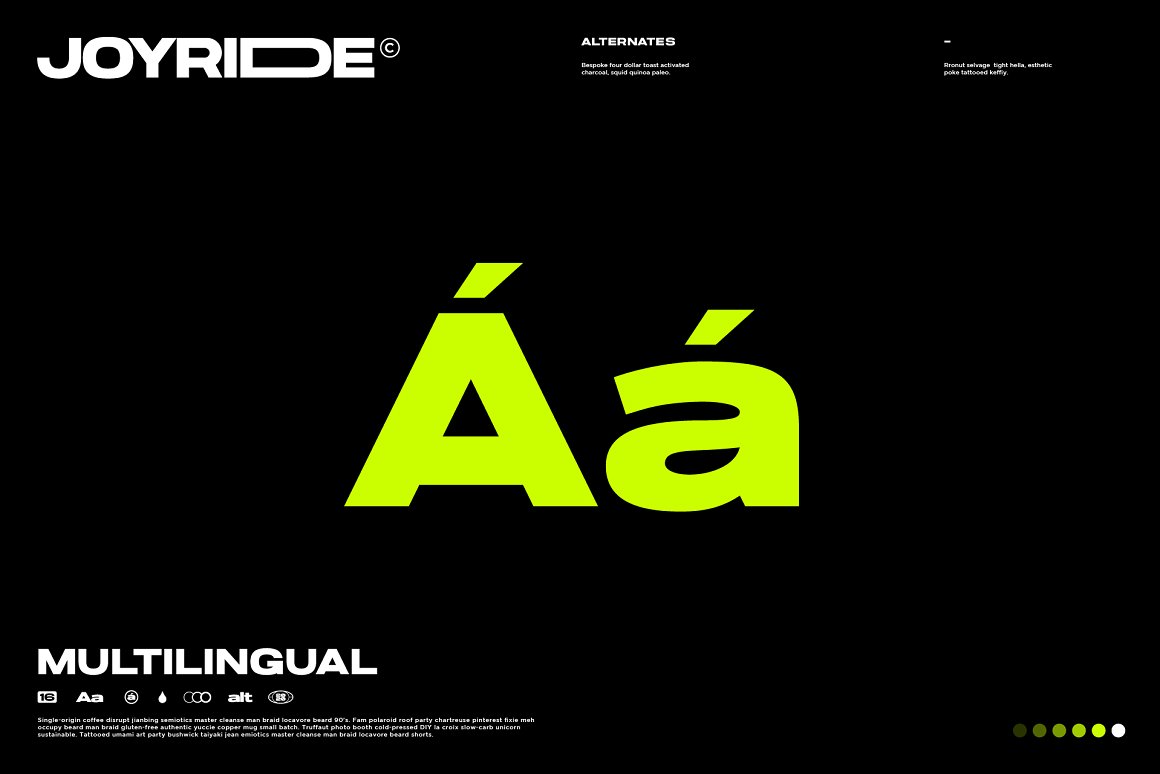 极简海报可变宽度无衬线英文字体 Joyride Extended Typeface 设计素材 sucaiwan.com