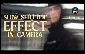 达芬奇预设:港风复古王家卫电影风格情绪人像效果预设包