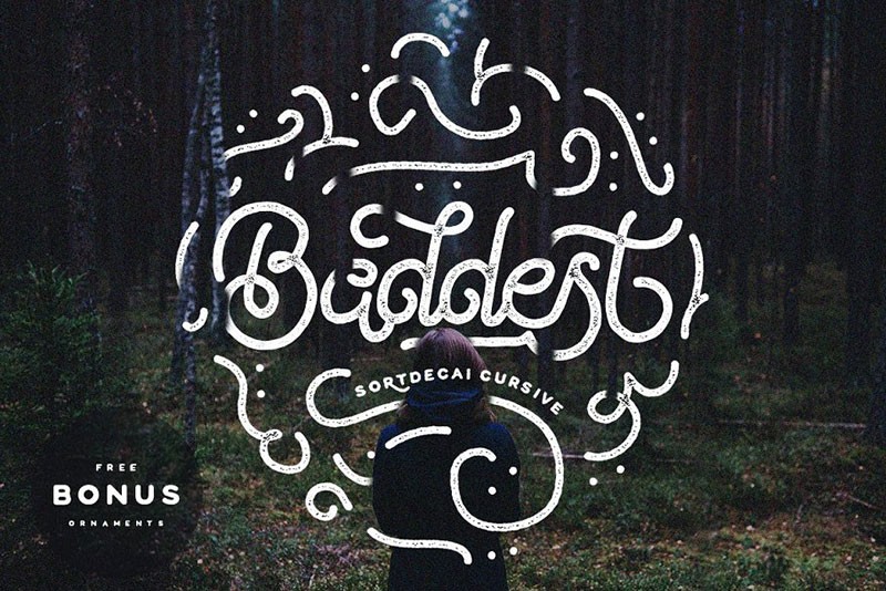 35款国外优质英文字体合集 设计素材 sucaiwan.com