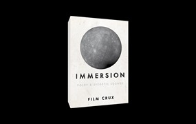 Filmcrux 400+种城市海滩生活氛围空灵悬疑环境音效脚步电器打字车辆全能音效包 IMMERSION