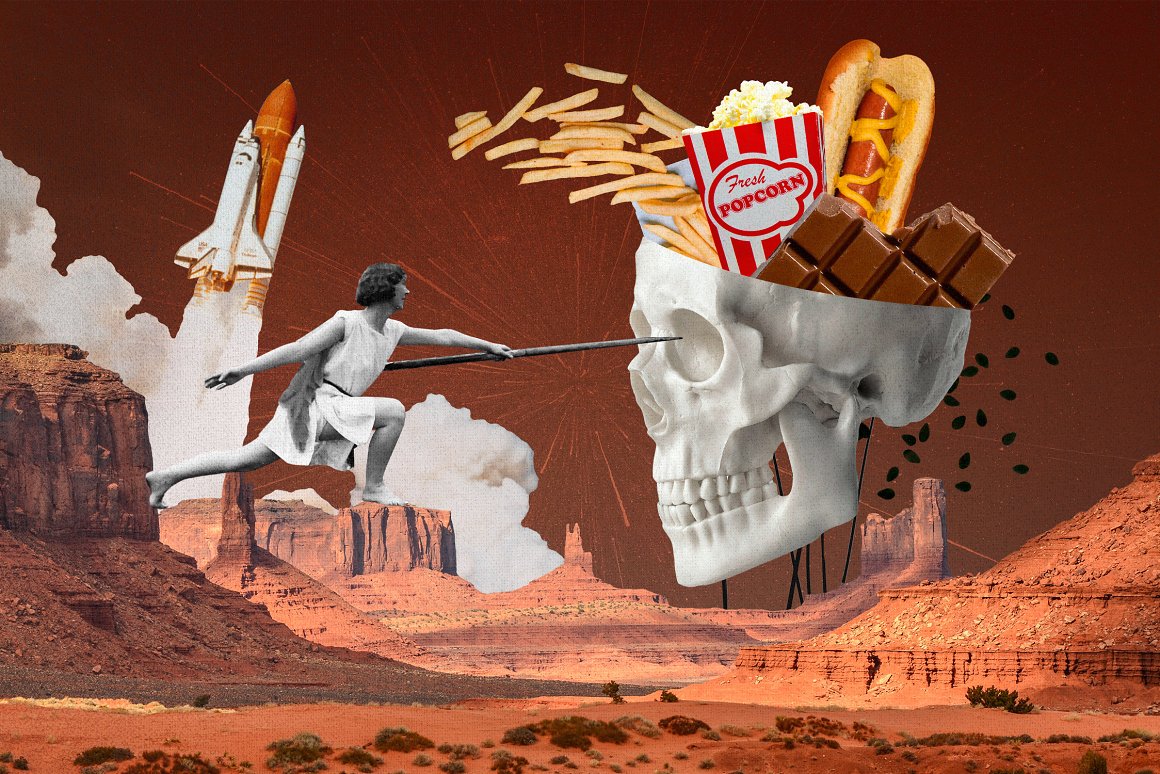 1255个复古做旧杂志剪纸手工裁剪动物植物食物自然纸张背景纹理JPG&PNG素材包 Plot Twist Collage Creator 图片素材 sucaiwan.com