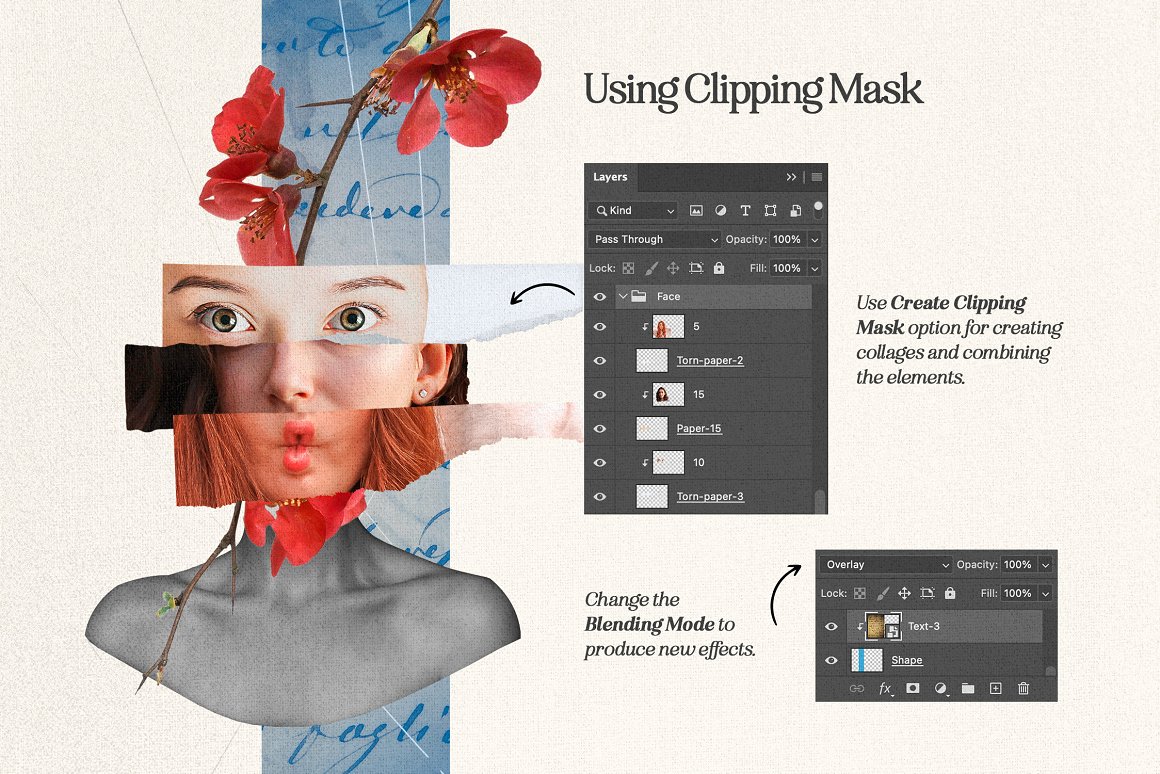1255个复古做旧杂志剪纸手工裁剪动物植物食物自然纸张背景纹理JPG&PNG素材包 Plot Twist Collage Creator 图片素材 sucaiwan.com