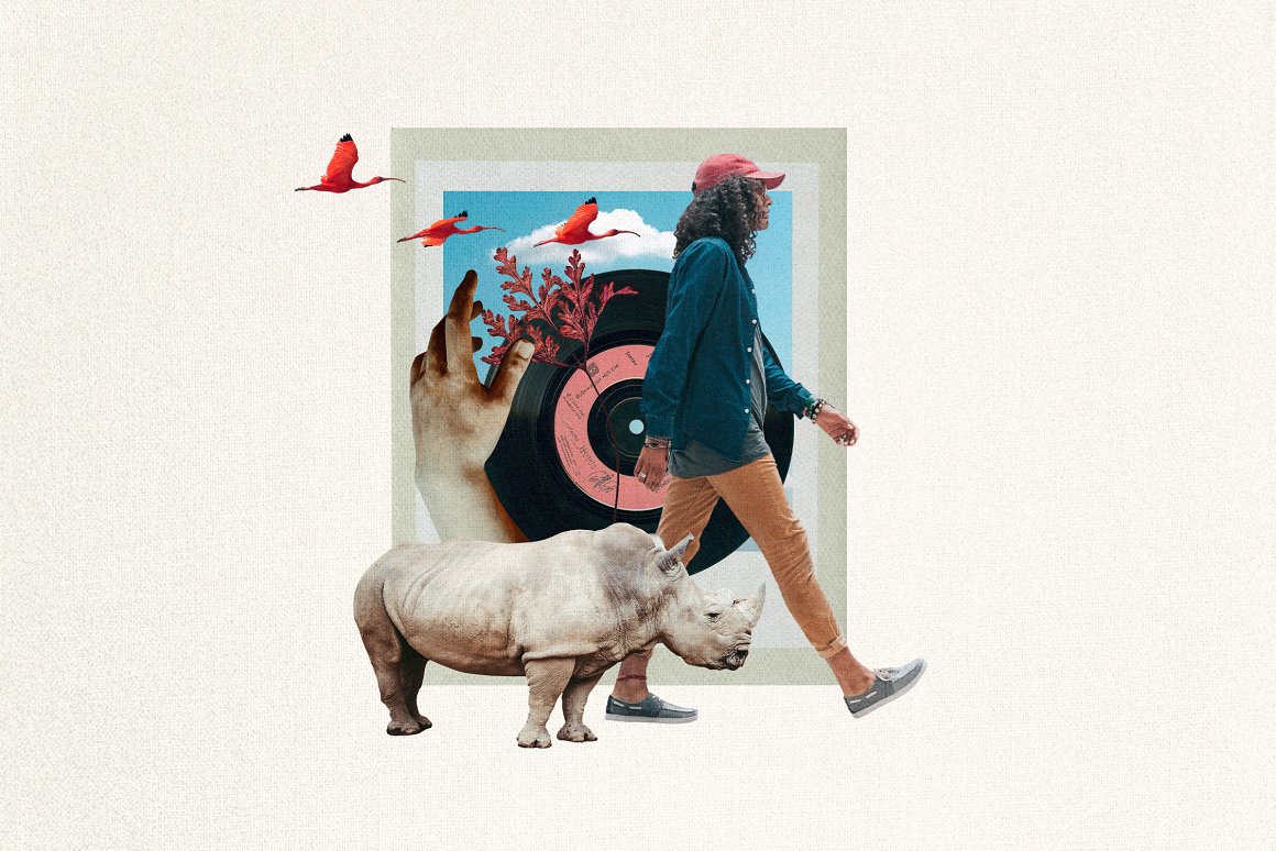 1255个复古做旧杂志剪纸手工裁剪动物植物食物自然纸张背景纹理JPG&PNG素材包 Plot Twist Collage Creator 图片素材 sucaiwan.com