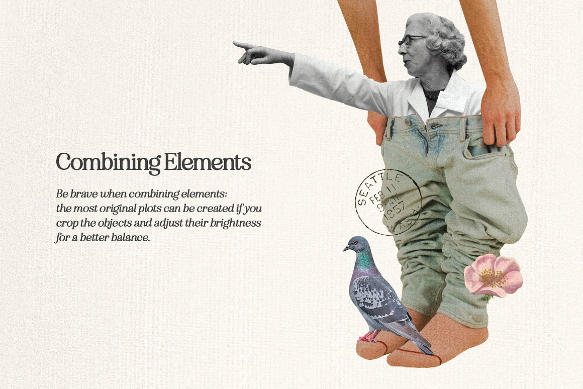 1255个复古做旧杂志剪纸手工裁剪动物植物食物自然纸张背景纹理JPG&PNG素材包 Plot Twist Collage Creator 图片素材 sucaiwan.com