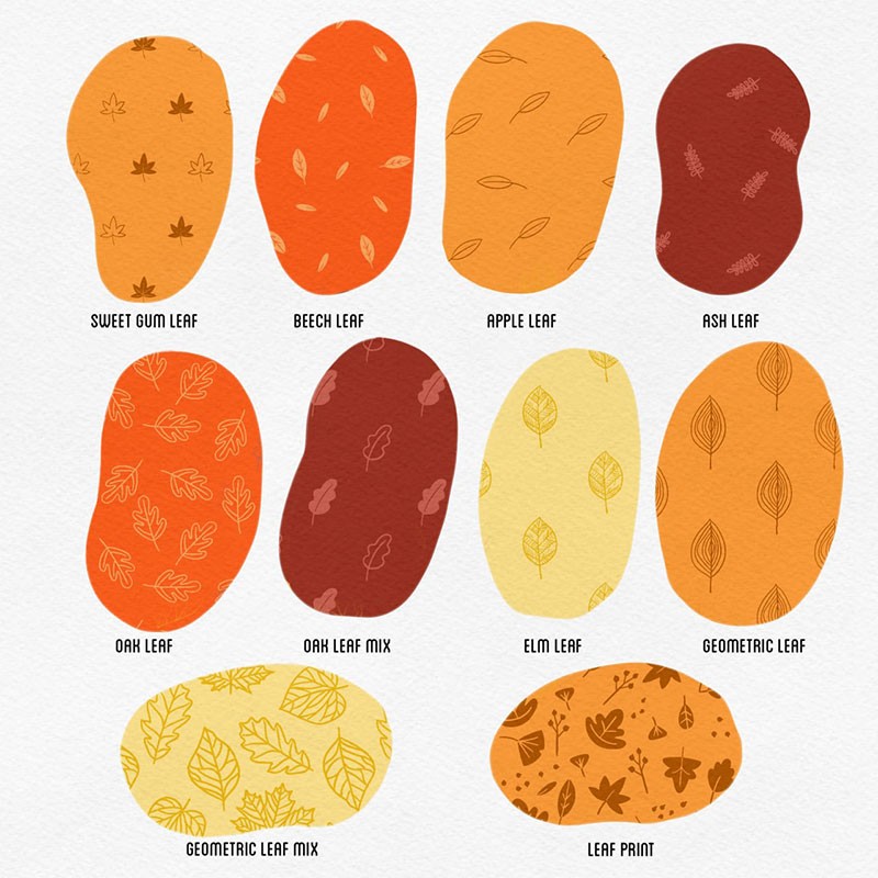 80个秋季主题图案纹理Procreate笔刷 笔刷资源 sucaiwan.com