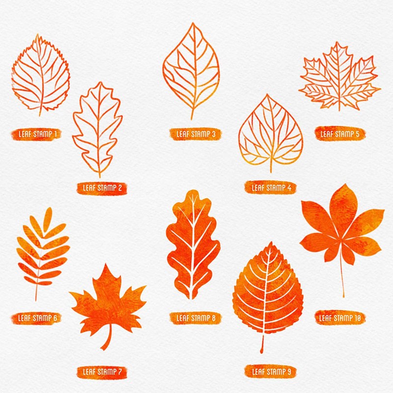 80个秋季主题图案纹理Procreate笔刷 笔刷资源 sucaiwan.com