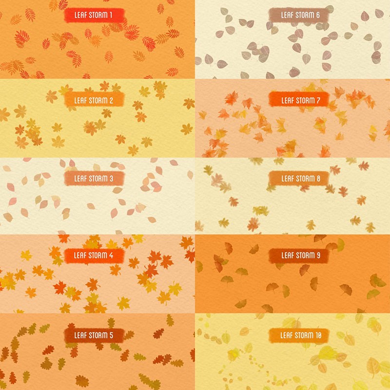 80个秋季主题图案纹理Procreate笔刷 笔刷资源 sucaiwan.com