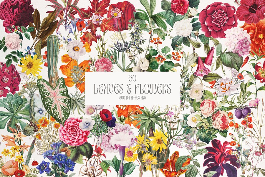 400+欧美复古手帐《奇幻世界》独家预制手工拼贴画剪纸艺术品场景预制海报素材+框架PNG免抠素材 Collage Creator Posters 图片素材 第6张-素材湾丨精选海外优质设计素材资源 400+欧美复古手帐《奇幻世界》独家预制手工拼贴画剪纸艺术品场景预制海报素材+框架PNG免抠素材 Collage Creator Posters 图片素材 sucaiwan.com