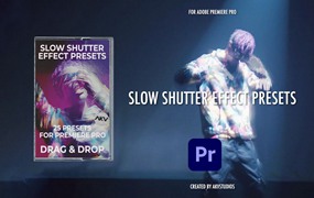 PR预设:25个港风复古王家卫电影风格情绪人像慢快门效果预设包