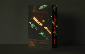 Polina Washington电影灯光夜景街拍颗粒感LR预设包 cinematic film Preset Pack