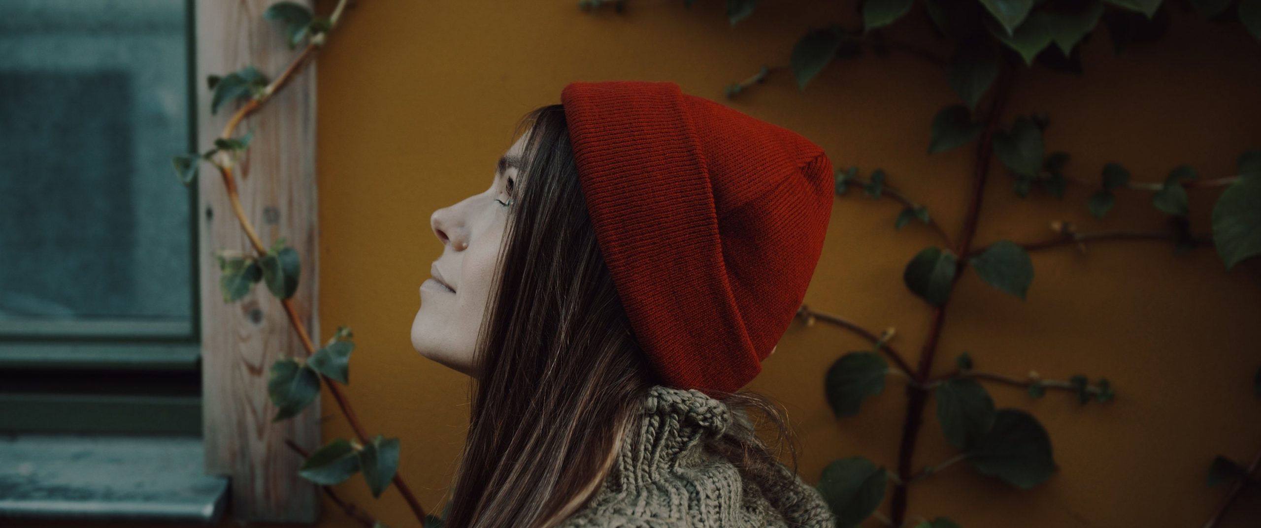 油管大神Roman Hense原创BMPCC4K还原lut调色预设:Roman Hense LUTS for BMPCC 4k FILM-S19 Cinematic 插件预设 第5张-素材湾丨精选海外优质设计素材资源 油管大神Roman Hense原创BMPCC4K还原lut调色预设:Roman Hense LUTS for BMPCC 4k FILM-S19 Cinematic 插件预设 sucaiwan.com