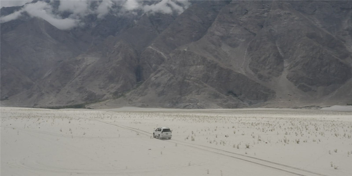 Cinegrams 10个复古好莱坞标志电影外观色彩分级LUT调色预设 Movie Looks V1 Video LUTs . sucaiwan.com