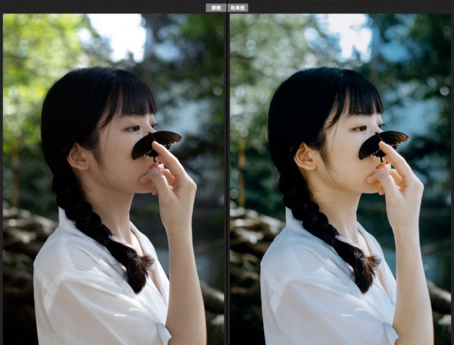 抖音小红书网红摄影师【猫胡子】婚礼跟拍/宴会跟拍LR预设 胶片预设11款 电脑版ps/lr预设配置文件滤镜附教程 插件预设 第3张-素材湾丨精选海外优质设计素材资源 抖音小红书网红摄影师【猫胡子】婚礼跟拍/宴会跟拍LR预设 胶片预设11款 电脑版ps/lr预设配置文件滤镜附教程 插件预设 sucaiwan.com