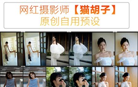 抖音小红书网红摄影师【猫胡子】婚礼跟拍/宴会跟拍LR预设 胶片预设11款 电脑版ps/lr预设配置文件滤镜附教程