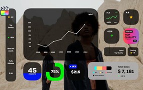 FCPX插件:11个苹果极简风格企业标注图表动画标题信息图表 Infographics