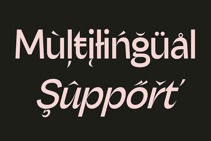 Nutgame现代英文无衬线字体完整版 设计素材 sucaiwan.com