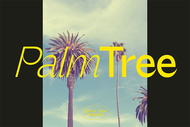 Nutgame现代英文无衬线字体完整版 设计素材 sucaiwan.com