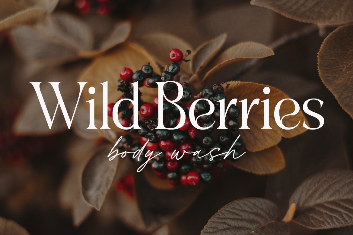 浪漫情绪风格优雅婚礼杂志logo设计衬线&手写签名英文字体包 Gofar | Font Duo 设计素材 第2张-素材湾丨精选海外优质设计素材资源 浪漫情绪风格优雅婚礼杂志logo设计衬线&手写签名英文字体包 Gofar | Font Duo 设计素材 sucaiwan.com