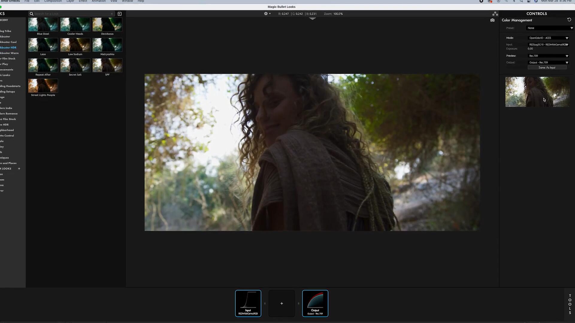 FCPX/达芬奇/PR/AE插件：一键磨皮降噪美妆红巨星调色套装顶级插件 Red Giant Magic Bullet Suite 16.1.0（Win&Mac） 插件预设 sucaiwan.com