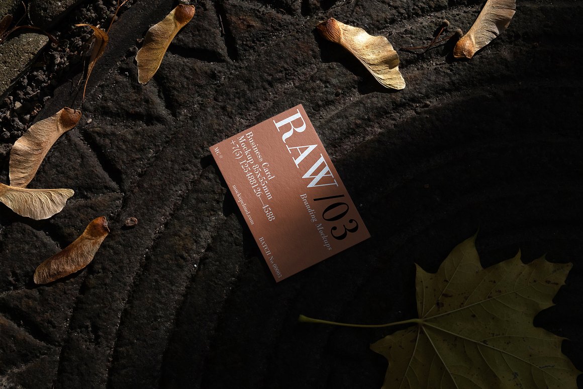 35款名片信封单页折页海报品牌Vi设计贴图Ps样机素材场景展示效果 Raw Branding Mockups / Batch 00003 . 第3张-素材湾丨精选海外优质设计素材资源 35款名片信封单页折页海报品牌Vi设计贴图Ps样机素材场景展示效果 Raw Branding Mockups / Batch 00003 . sucaiwan.com