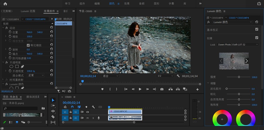 18个高级调性婚纱旅拍视频LUTS调色预设包 G-Presets x Dawn Charles – Campfire LUTS 插件预设 sucaiwan.com