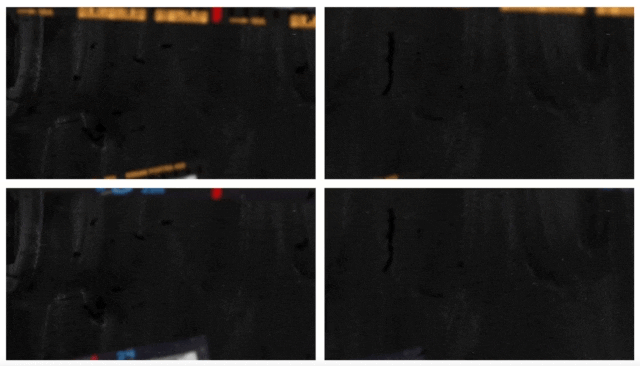 FCPX插件:复古胶片电影帧边框3D运动相册展示模板包 Archive Photo Pro 插件预设 第7张-素材湾丨精选海外优质设计素材资源 FCPX插件:复古胶片电影帧边框3D运动相册展示模板包 Archive Photo Pro 插件预设 sucaiwan.com