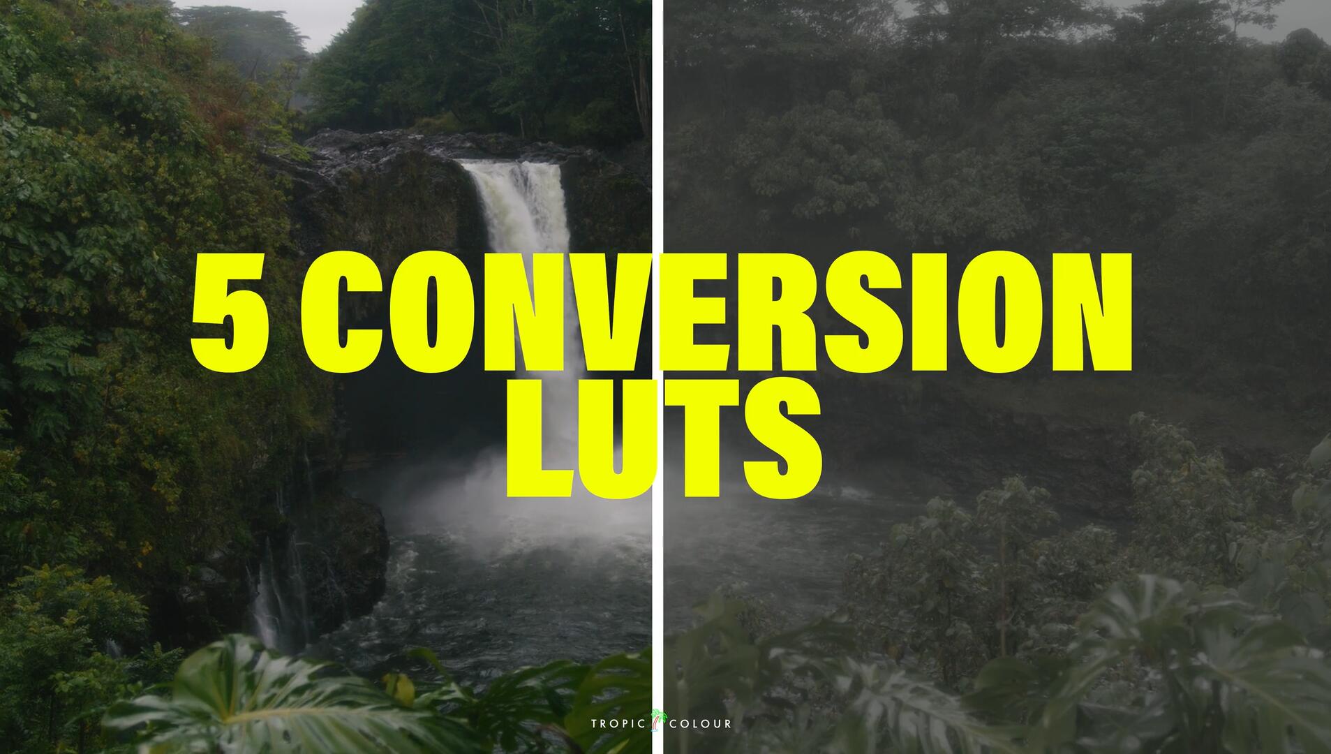 5款RED科莫多6K电影摄影机创意电影感色彩还原Rec.709调色预设包 Tropic Colour – RED Komodo Conversion LUTS 插件预设 第12张-素材湾丨精选海外优质设计素材资源 5款RED科莫多6K电影摄影机创意电影感色彩还原Rec.709调色预设包 Tropic Colour – RED Komodo Conversion LUTS 插件预设 sucaiwan.com