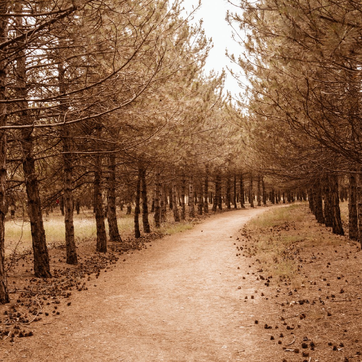 时尚质感街拍欧美风模拟摄像机签名胶片移动LR预设DNG预设 Signature_Film_Mobile_Lr_Preset 插件预设 第9张-素材湾丨精选海外优质设计素材资源 时尚质感街拍欧美风模拟摄像机签名胶片移动LR预设DNG预设 Signature_Film_Mobile_Lr_Preset 插件预设 sucaiwan.com