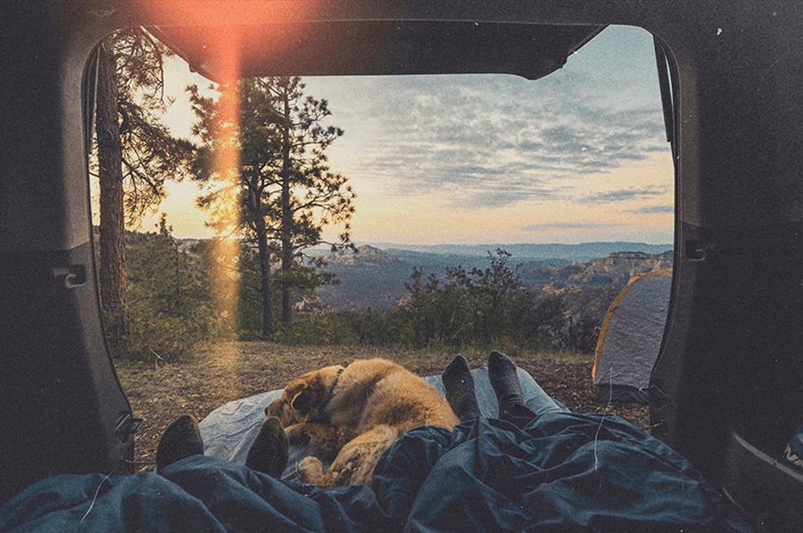 14个复古电影迷幻氛围感燃烧灰尘漏光叠加层PSD素材 Film-Burn-Light-Overlays 图片素材 第7张-素材湾丨精选海外优质设计素材资源 14个复古电影迷幻氛围感燃烧灰尘漏光叠加层PSD素材 Film-Burn-Light-Overlays 图片素材 sucaiwan.com