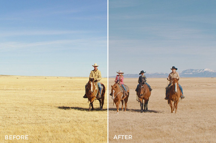 12种独特经典胶片仿真LUTS调色预设包 Filter Grade Celluloid Video LUTs 插件预设 sucaiwan.com