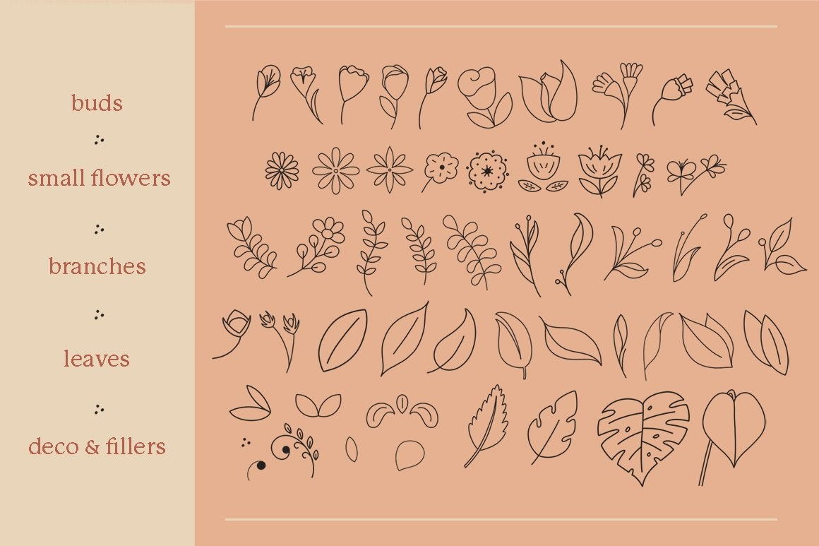 77个花卉插画线描画Procreate笔刷 笔刷资源 sucaiwan.com