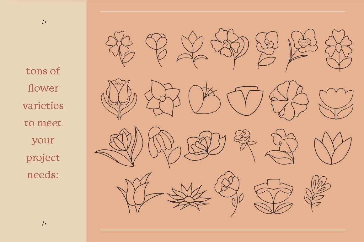 77个花卉插画线描画Procreate笔刷 笔刷资源 sucaiwan.com