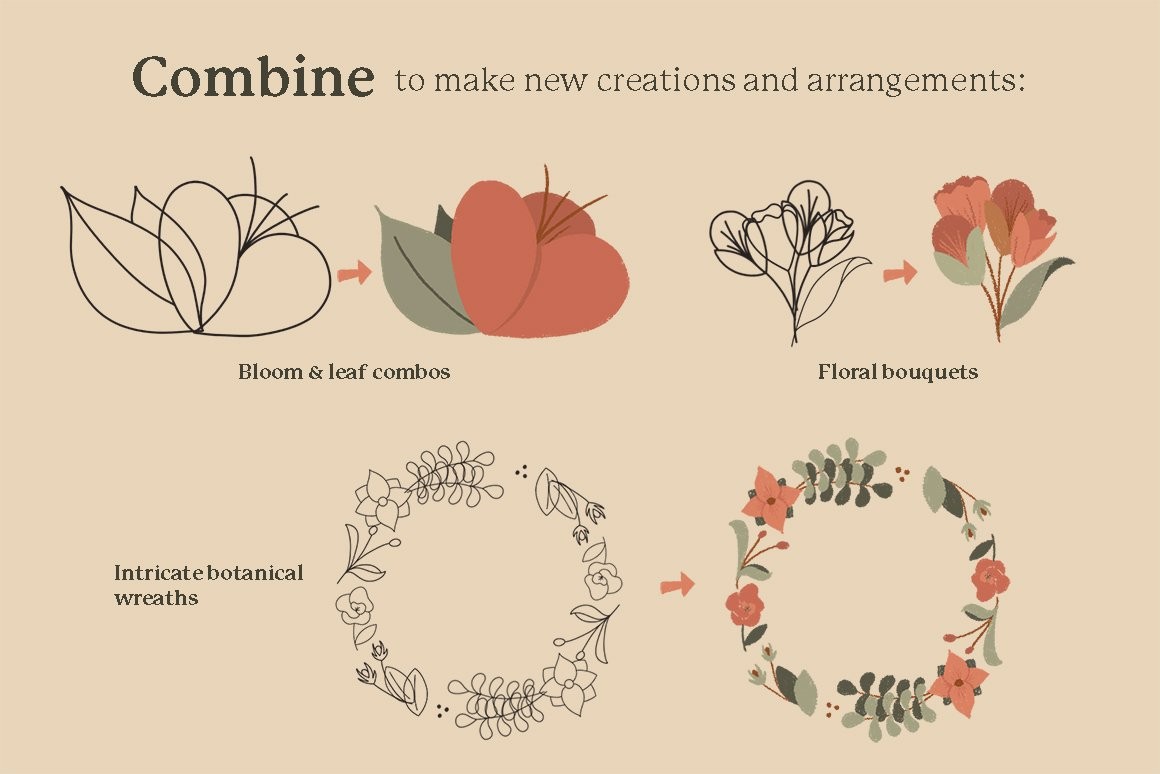 77个花卉插画线描画Procreate笔刷 笔刷资源 sucaiwan.com