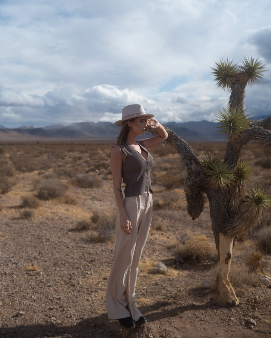 5个90年代西部风格美式复古一键式独特复古仿真LR预设 RETRO EMULATION 插件预设 sucaiwan.com