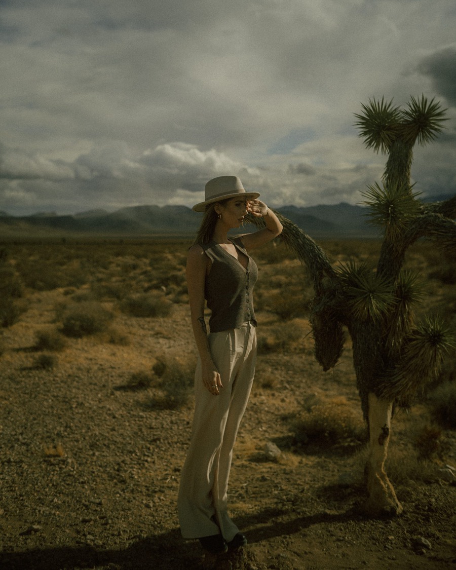 5个90年代西部风格美式复古一键式独特复古仿真LR预设 RETRO EMULATION 插件预设 sucaiwan.com