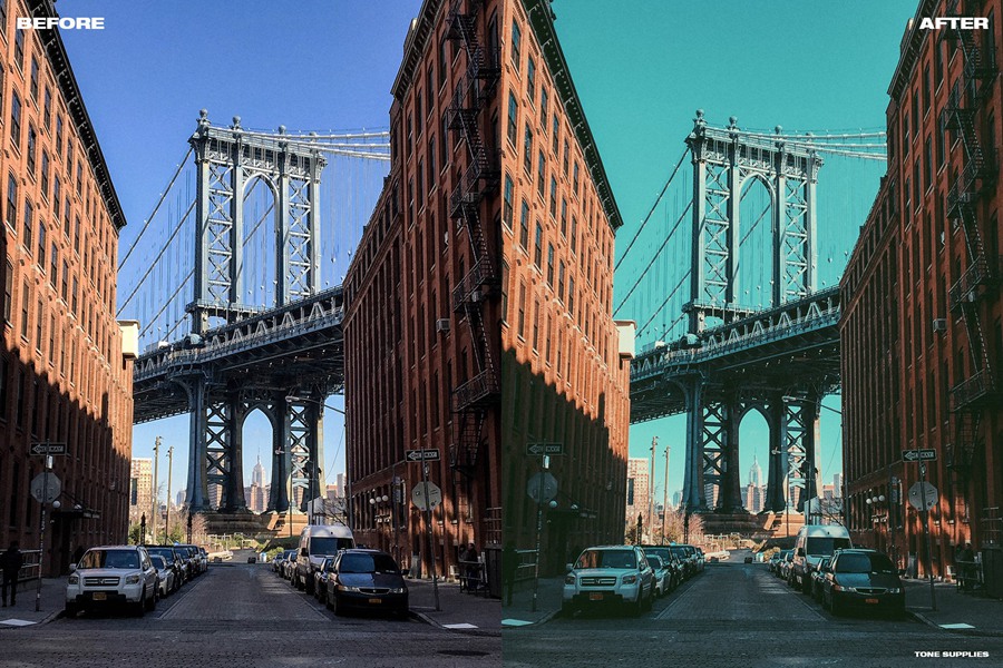 高雅风格蓝绿色艺术感调色LUT预设 TONE SUPPLIES 插件预设 sucaiwan.com