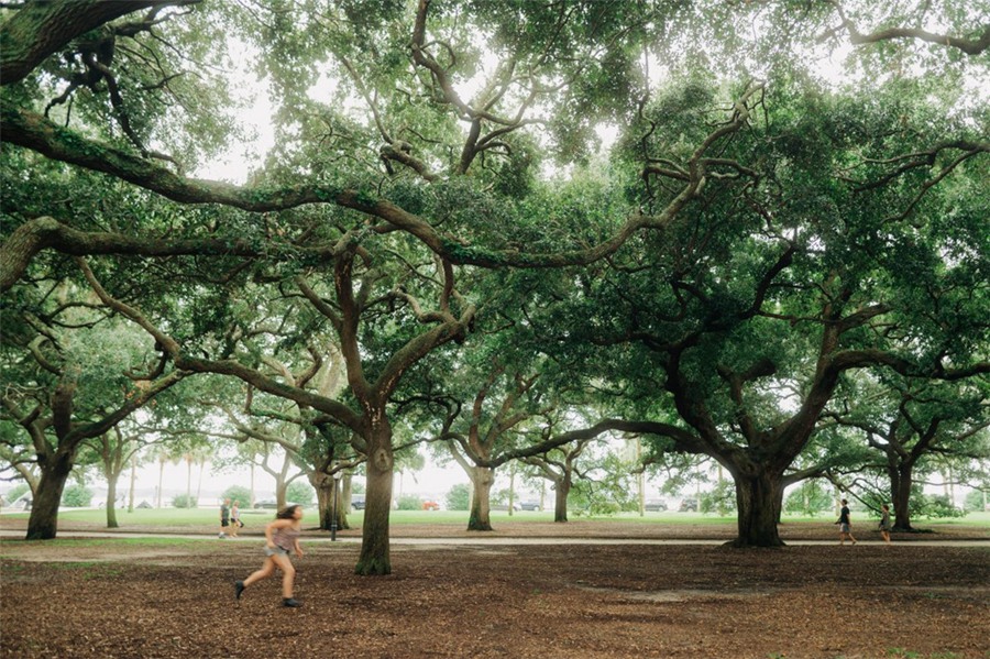 LR预设:大胆活力色调日落鲜艳色彩人像摄影LR调色预设 . 第2张-素材湾丨精选海外优质设计素材资源 LR预设:大胆活力色调日落鲜艳色彩人像摄影LR调色预设 . sucaiwan.com