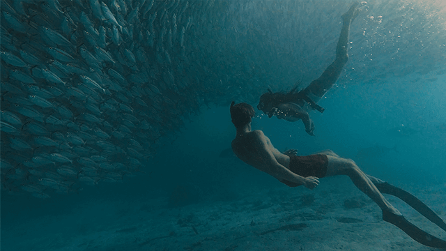 60+个旅拍vlog探索电影旅行 LUT调色预设 EXPLORE | CINEMATIC TRAVEL LUTS 插件预设 第6张-素材湾丨精选海外优质设计素材资源 60+个旅拍vlog探索电影旅行 LUT调色预设 EXPLORE | CINEMATIC TRAVEL LUTS 插件预设 sucaiwan.com