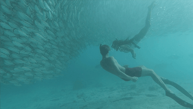 60+个旅拍vlog探索电影旅行 LUT调色预设 EXPLORE | CINEMATIC TRAVEL LUTS 插件预设 第7张-素材湾丨精选海外优质设计素材资源 60+个旅拍vlog探索电影旅行 LUT调色预设 EXPLORE | CINEMATIC TRAVEL LUTS 插件预设 sucaiwan.com