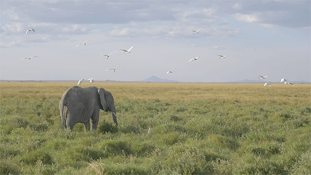 60+个旅拍vlog探索电影旅行 LUT调色预设 EXPLORE | CINEMATIC TRAVEL LUTS 插件预设 第8张-素材湾丨精选海外优质设计素材资源 60+个旅拍vlog探索电影旅行 LUT调色预设 EXPLORE | CINEMATIC TRAVEL LUTS 插件预设 sucaiwan.com